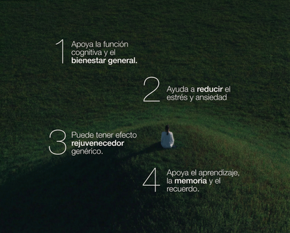 ZENIN CALM®